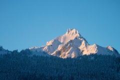 Harrison-02537