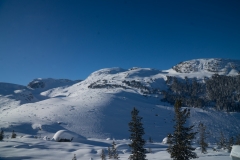 Harrison-02547
