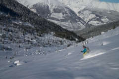 Harrison-02560
