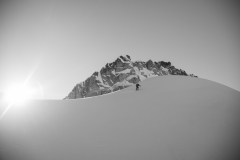 Harrison-02642