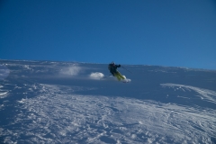 Harrison-02729